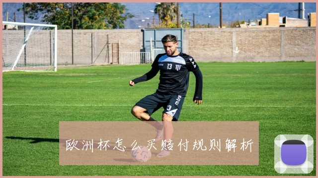 欧洲杯怎么买赔付规则解析