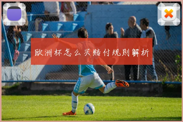 欧洲杯怎么买赔付规则解析