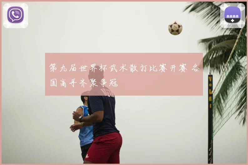 第九届世界杯武术散打比赛开赛 各国高手齐聚争冠