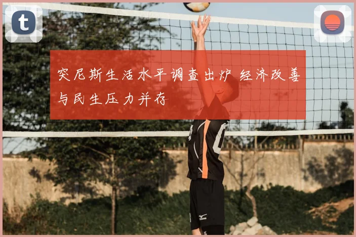 突尼斯生活水平调查出炉 经济改善与民生压力并存