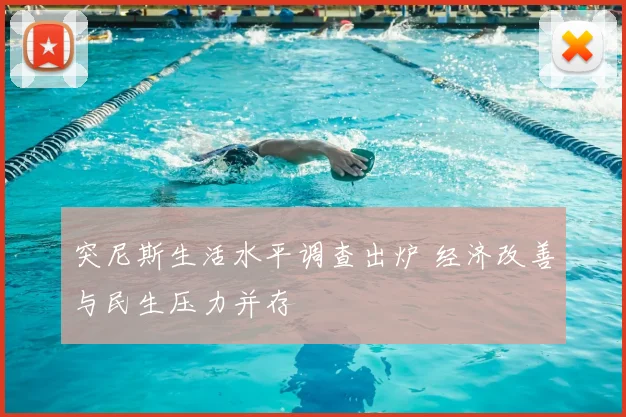 突尼斯生活水平调查出炉 经济改善与民生压力并存