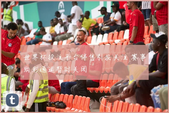 世界杯投注平台停售引发关注 赛事购彩通道暂时关闭