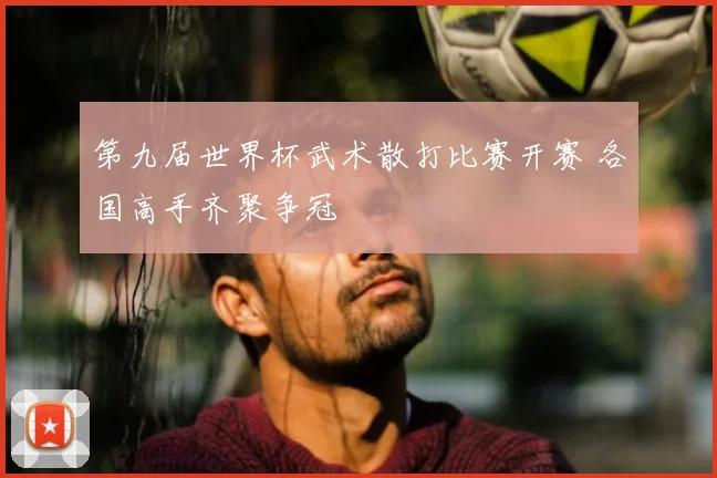 第九届世界杯武术散打比赛开赛 各国高手齐聚争冠
