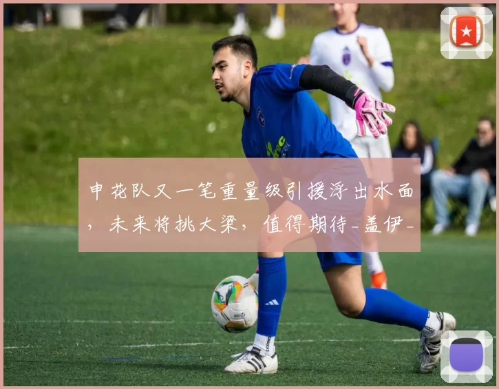 申花队又一笔重量级引援浮出水面，未来将挑大梁，值得期待_盖伊_杨帅_中超