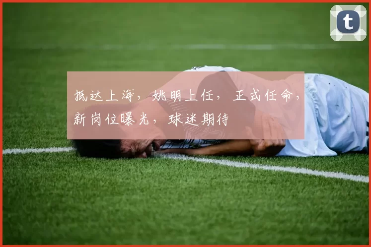 抵达上海，姚明上任，正式任命，新岗位曝光，球迷期待