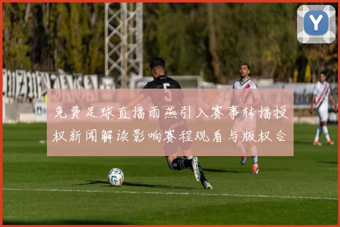 免费足球直播雨燕引入赛事转播授权新闻解读影响赛程观看与版权合规