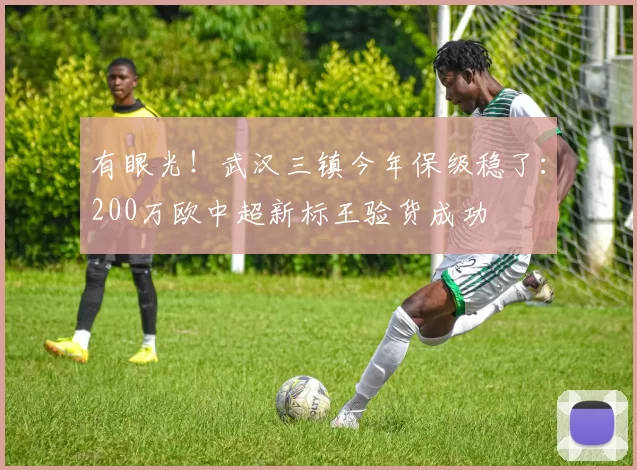 有眼光！武汉三镇今年保级稳了：200万欧中超新标王验货成功